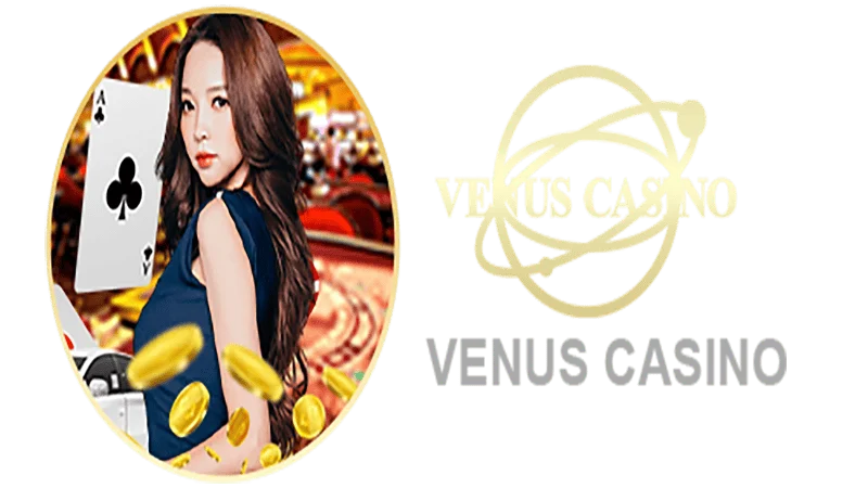 BET3K Informações básicas sobre o saguão do cassino Venus